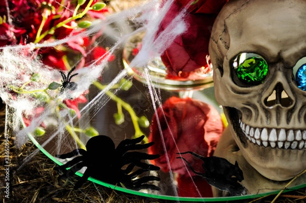 Obraz skull on halloween
