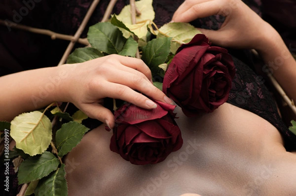 Obraz girl with a rose
