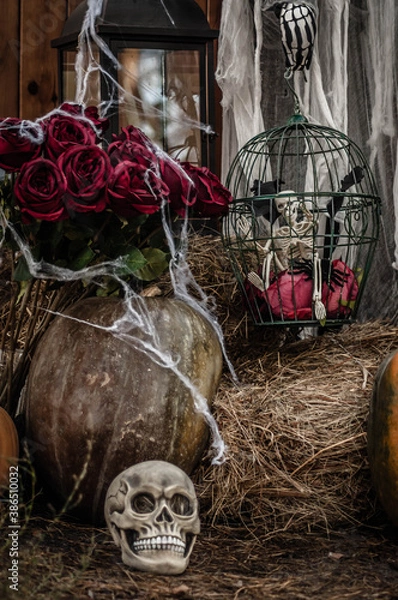 Obraz skull on halloween
