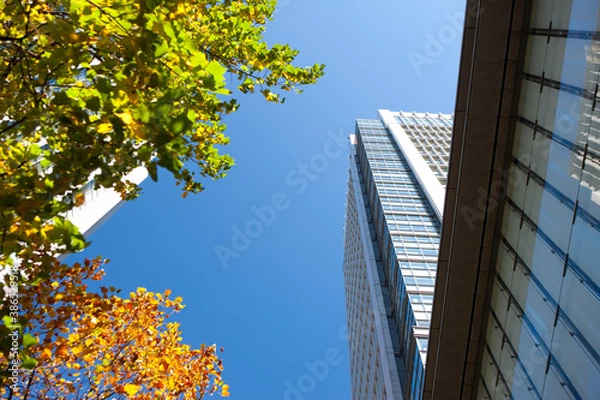 Fototapeta 丸の内ビル