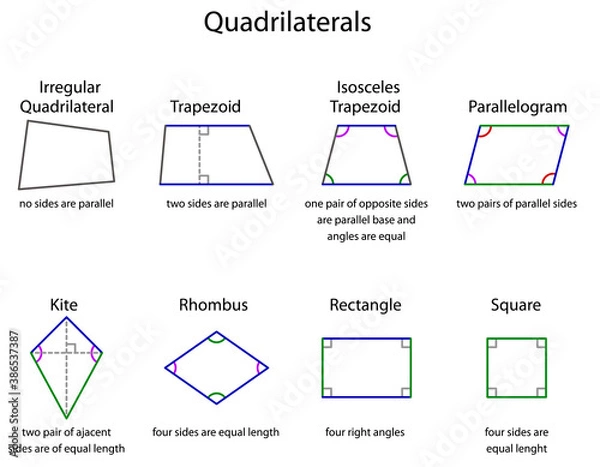 Fototapeta different types of quadrilaterals