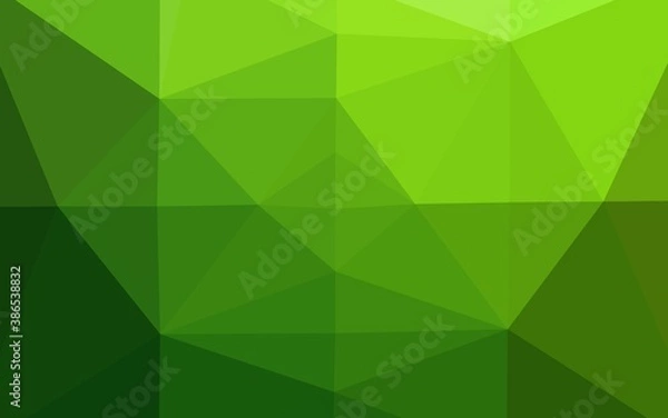 Fototapeta Light Green vector low poly layout.