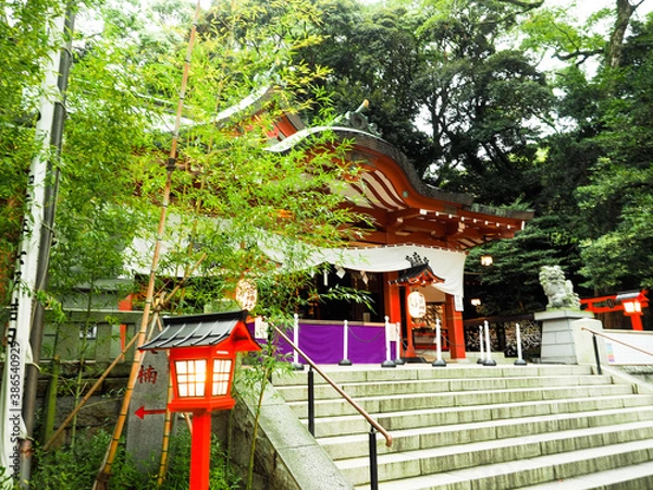 Obraz 来宮神社　狛犬　熱海　熱海市　神社　