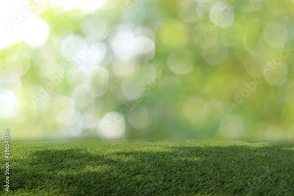 Fototapeta Natural green background It is a lawn with a blurred green background. Bokeh can be used as a background.