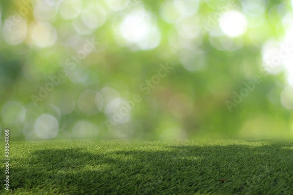 Fototapeta Natural green background It is a lawn with a blurred green background. Bokeh can be used as a background.
