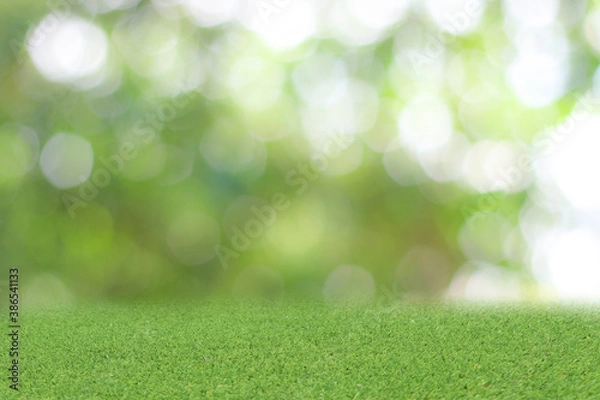 Fototapeta Natural green background It is a lawn with a blurred green background. Bokeh can be used as a background.