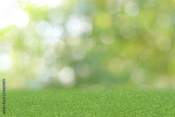 Fototapeta Natural green background It is a lawn with a blurred green background. Bokeh can be used as a background.