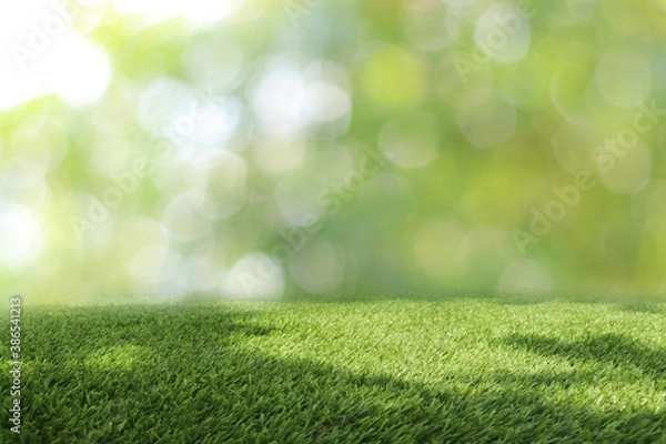 Fototapeta Natural green background It is a lawn with a blurred green background. Bokeh can be used as a background.