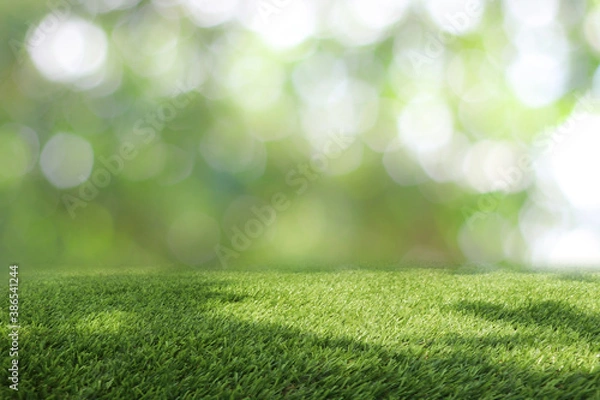 Fototapeta Natural green background It is a lawn with a blurred green background. Bokeh can be used as a background.