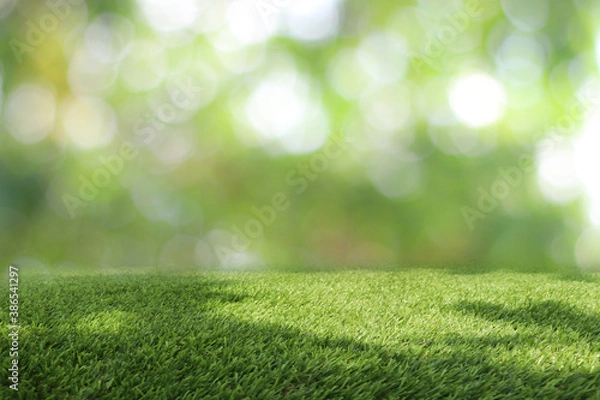 Fototapeta Natural green background It is a lawn with a blurred green background. Bokeh can be used as a background.