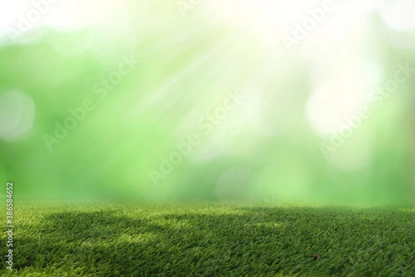 Fototapeta Natural green background It is a lawn with a blurred green background. Bokeh can be used as a background.