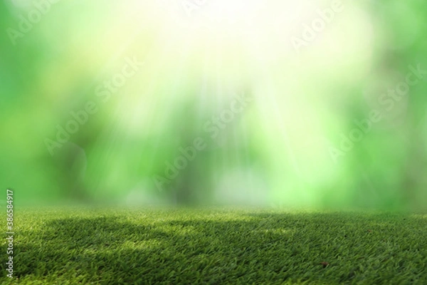 Fototapeta Natural green background It is a lawn with a blurred green background. Bokeh can be used as a background.