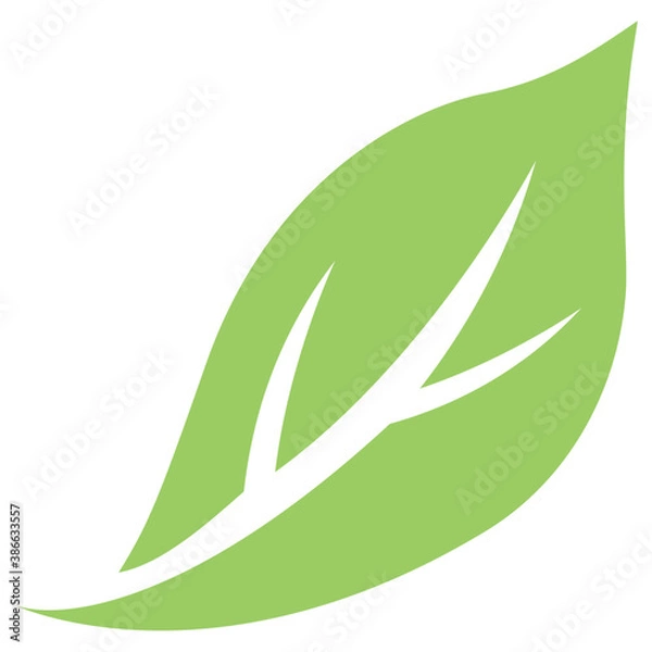 Fototapeta 
A leaf with compound structure is ash leaf 
