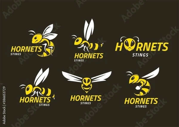 Obraz Hornet Logos