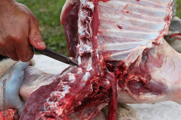 Obraz a butcher cuts an animal carcass into meat for eating with a knife