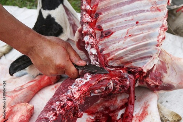 Obraz a butcher cuts an animal carcass into meat for eating with a knife