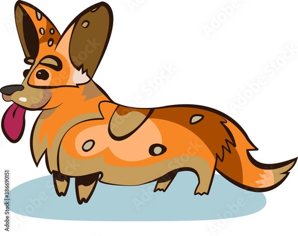 Obraz Vector image of cute multi-colored dog corgis on a white background