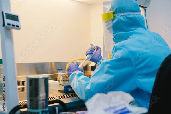 Fototapeta A scientist in PPE safty uniform pipetting sample experiment in biological safety cabinet (BSC).