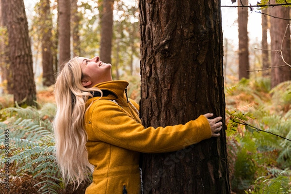 Fototapeta Young blonde woman in yellow coat hugging a tree in the forest and looking up to the tree top