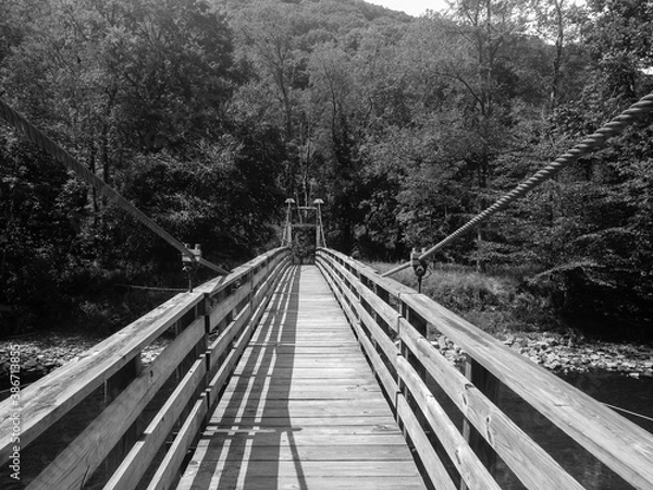 Obraz bridge in the woods