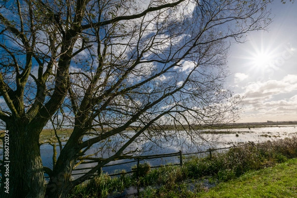 Obraz autumn landscape over the backwaters