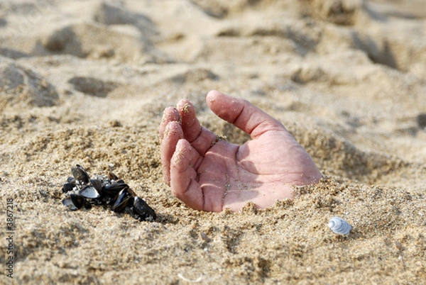 Obraz main dans le sable
