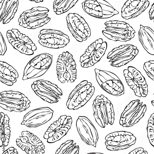 Fototapeta Pecan nuts on white background. Seamless vector pattern. Hand drawn illustration. Sketch.