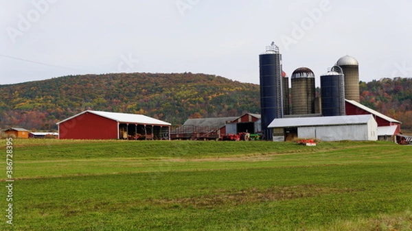 Obraz A farm surrounded by striking color of fall foliage near Troy, Pennsylvania, U.S.A