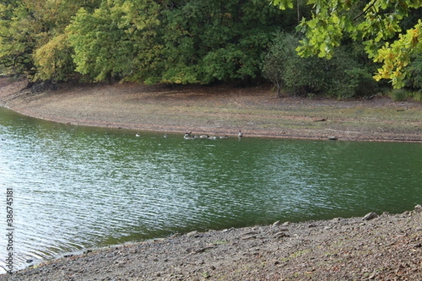 Obraz Bucht mit Seevögel