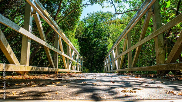 Obraz bridge in the forest