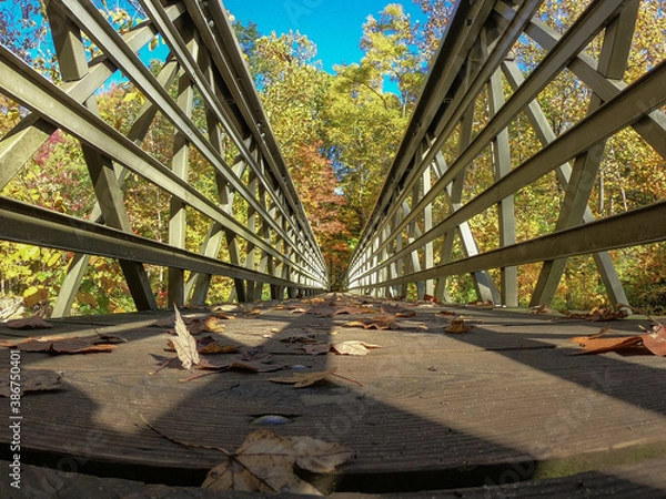 Obraz bridge over the river