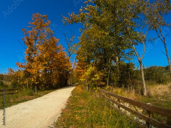 Obraz road in autumn
