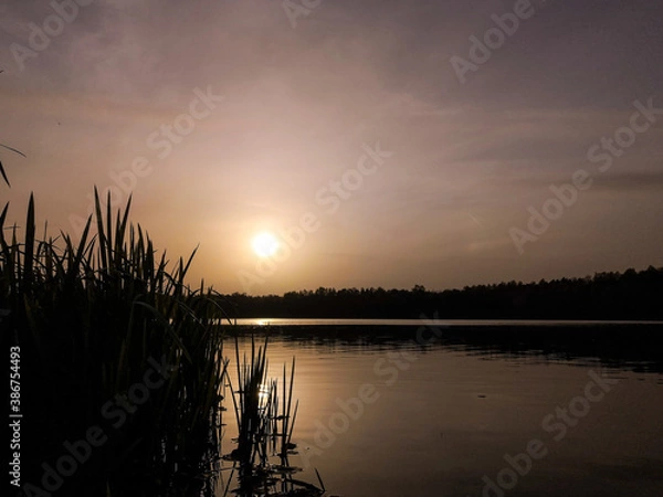 Obraz sunset on the lake
