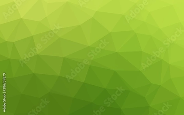 Obraz Light Green vector polygon abstract layout.