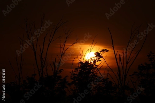 Obraz Album mi x sunset