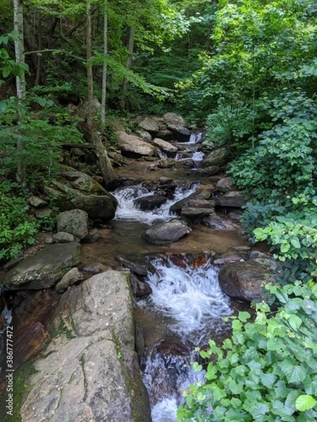 Obraz river in the forest