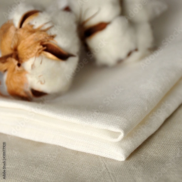 Fototapeta Set de table coton