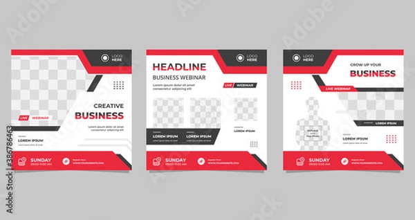 Fototapeta Live webinar social media post template. Vector graphic of collection minimalist background