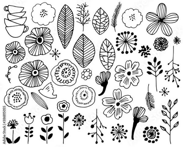 Fototapeta 手書きタッチの北欧風草木イラスト