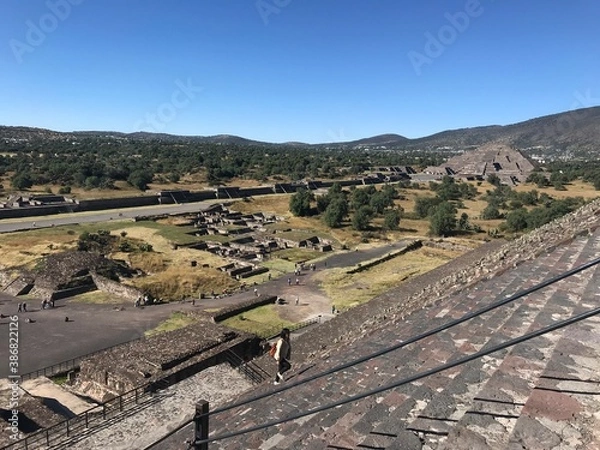 Obraz sheep in the village