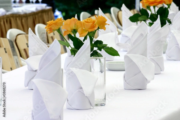 Obraz Napkins and roses