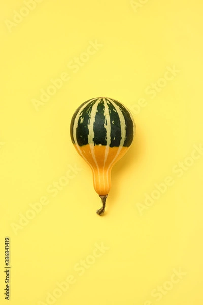 Obraz hot air balloon