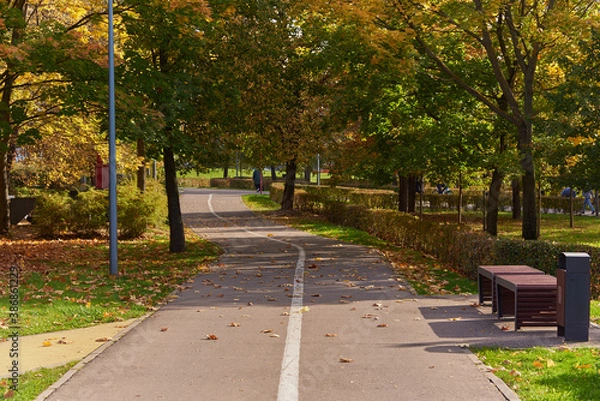 Obraz Paved road in the Park,divided by markings on the Bicycle and pedestrian parts.