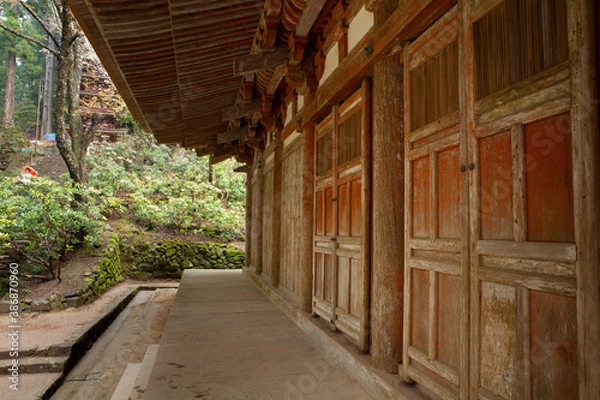 Fototapeta 室生寺(金堂)