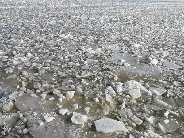 Obraz Frozen sea