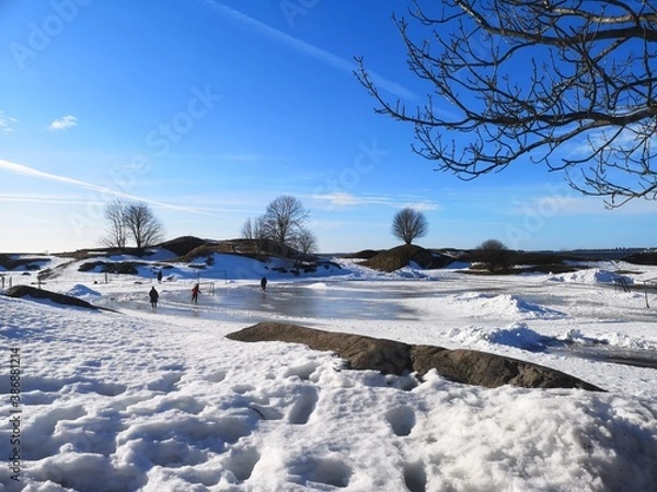 Obraz winter landscape with snow
