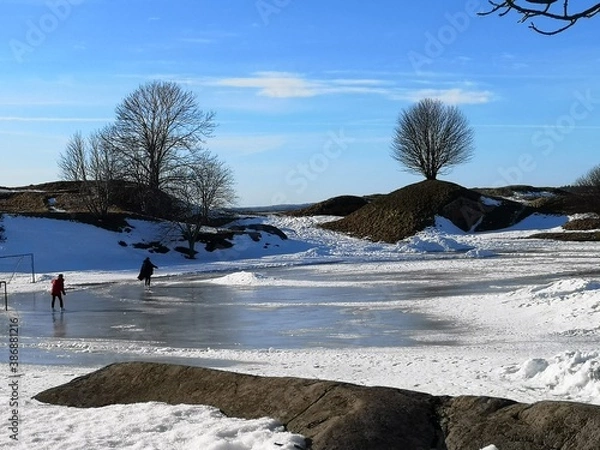 Obraz snow landscape