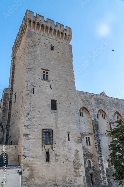 Obraz Palais des papes en Avignon