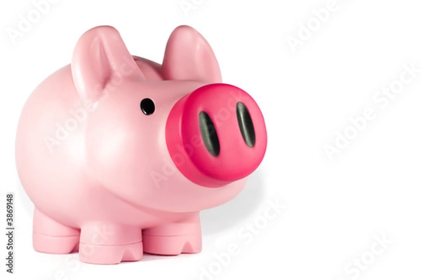 Fototapeta Piggy Bank