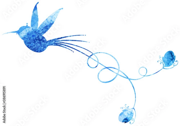 Fototapeta Hummingbird watercolor silhouette. Vector graphics. Decorative element